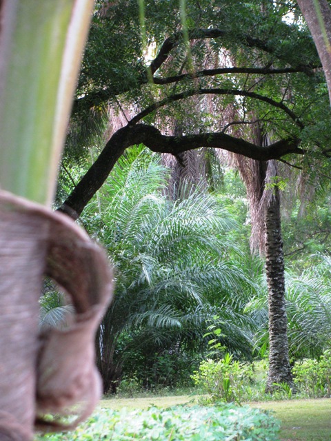 Regenzeit in Cote d'Ivoire