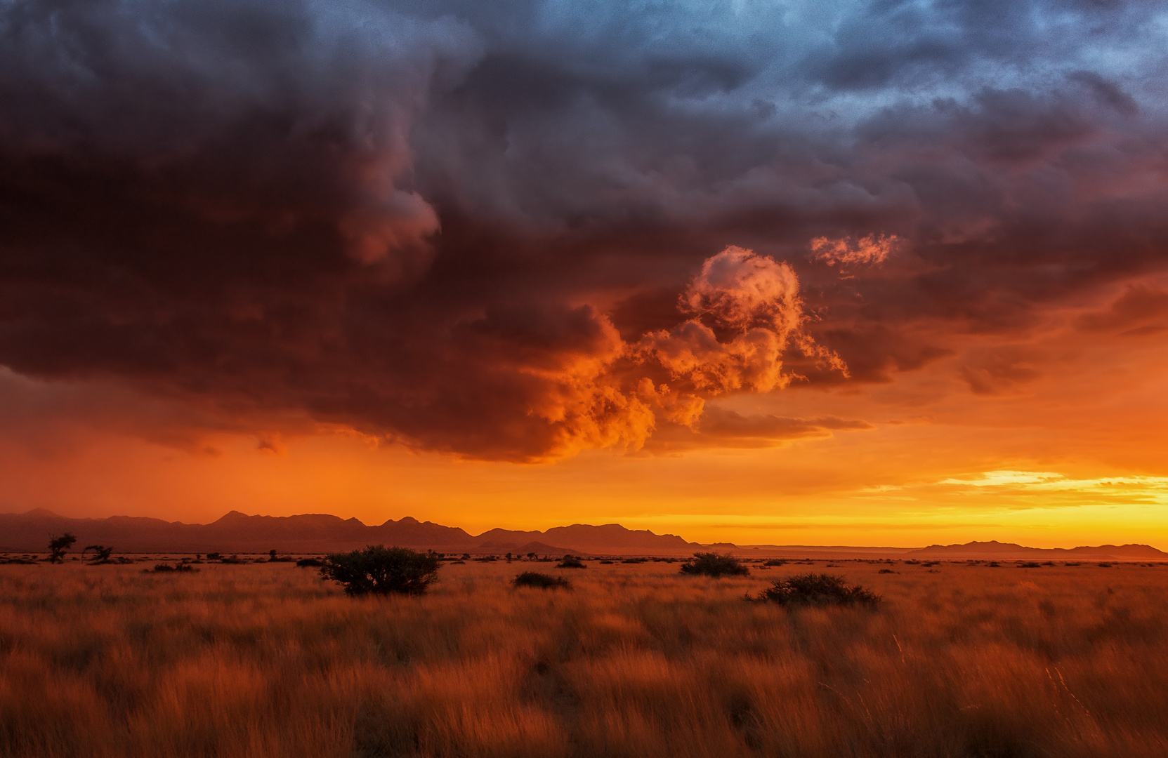 Regenzeit in Namibia