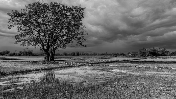Regenzeit in Thailand