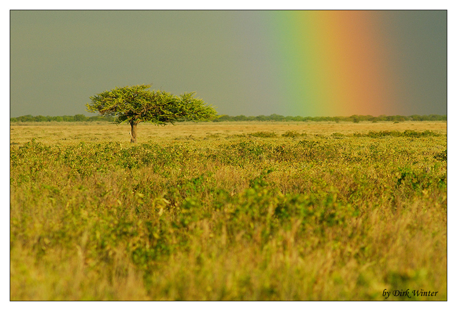 Regenzeit über Etosha