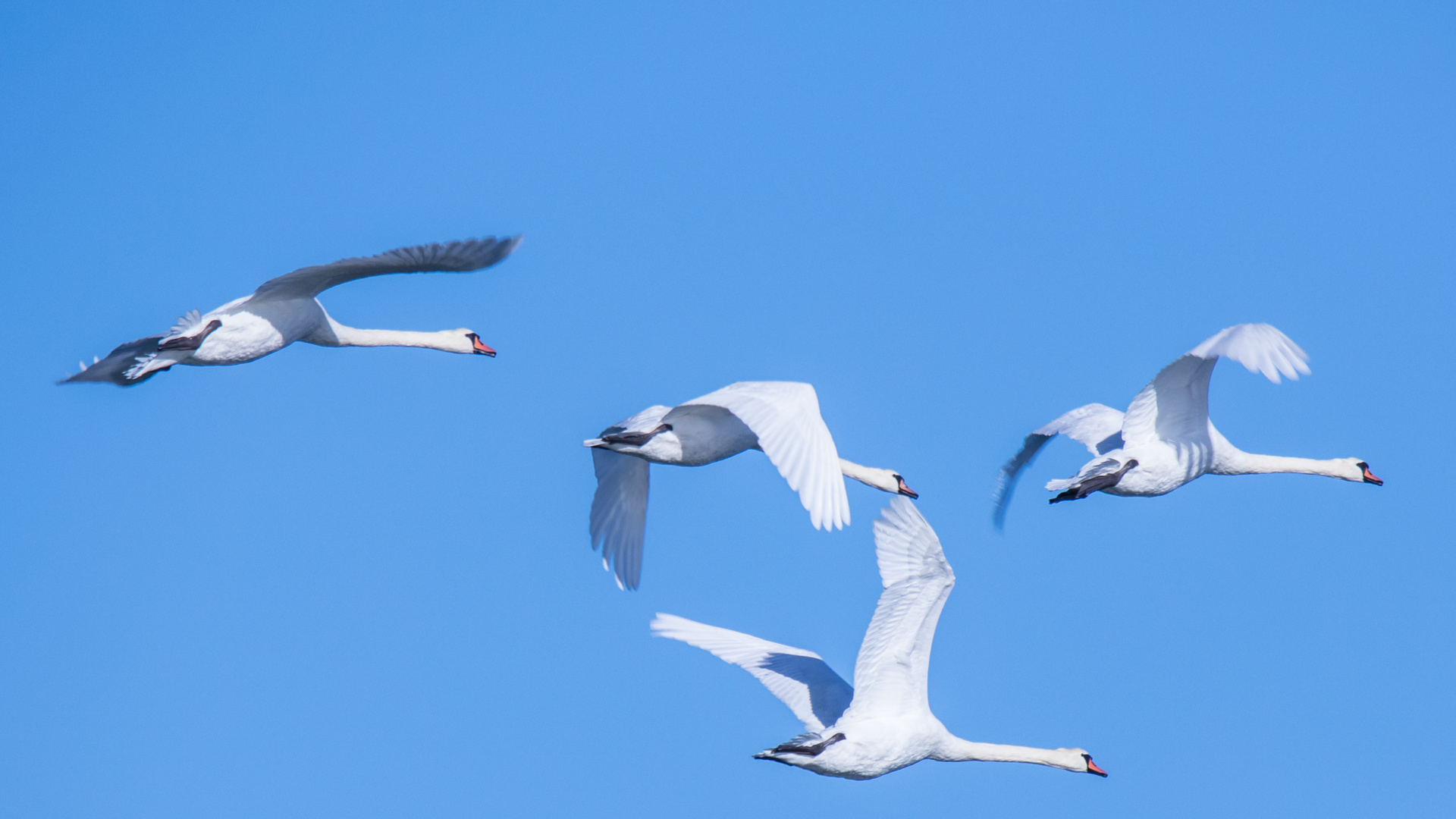 Reger Flugverkehr...