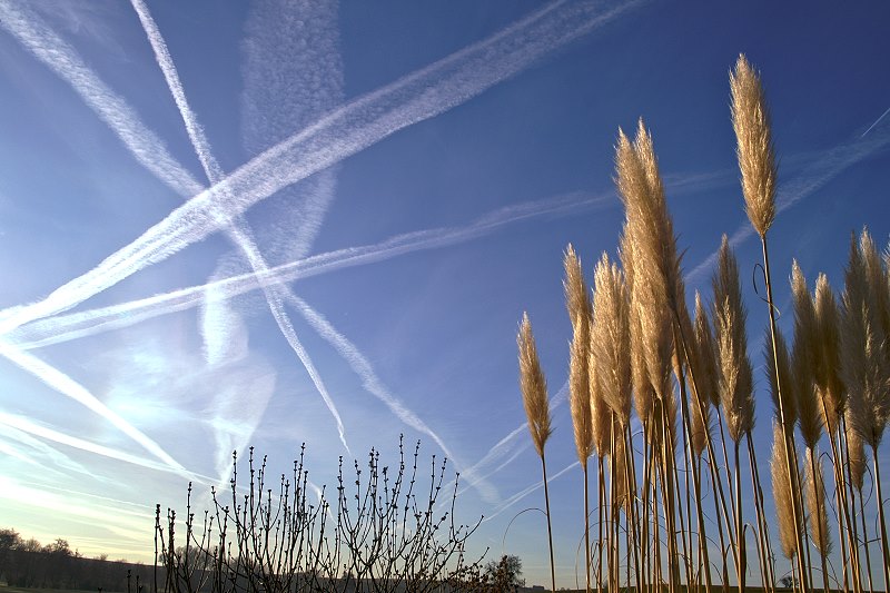 Reger morgendlicher Flugverkehr über dem Kraichgau