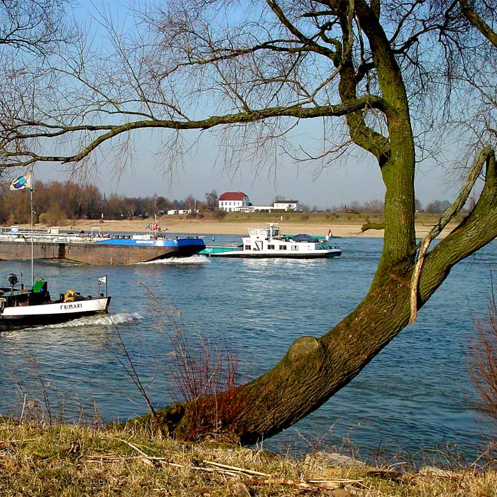 Reger Schiffsverkehr auf dem Rhein