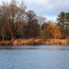 Reges Leben auf dem Wasser