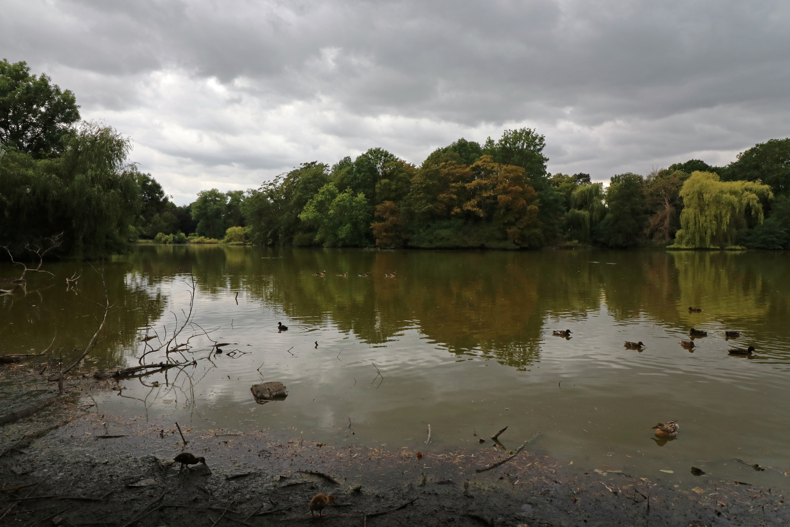 Reges Treiben auf dem Wasser Foto & Bild park, landschaften, sommer Bilder auf