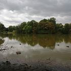 Reges Treiben auf dem Wasser