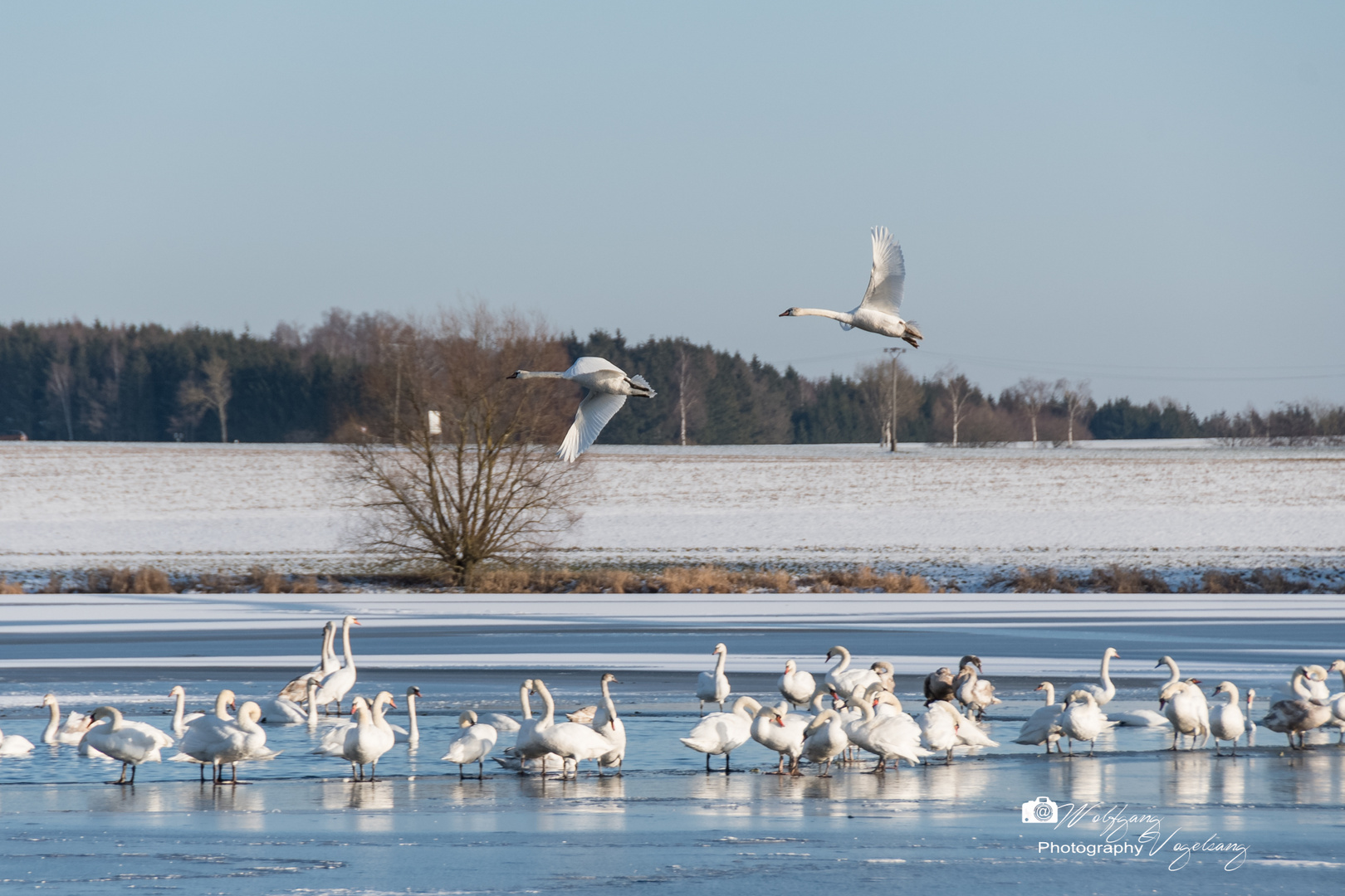 Reges Treiben und Getümmel an den Plothener Teichen Foto & Bild