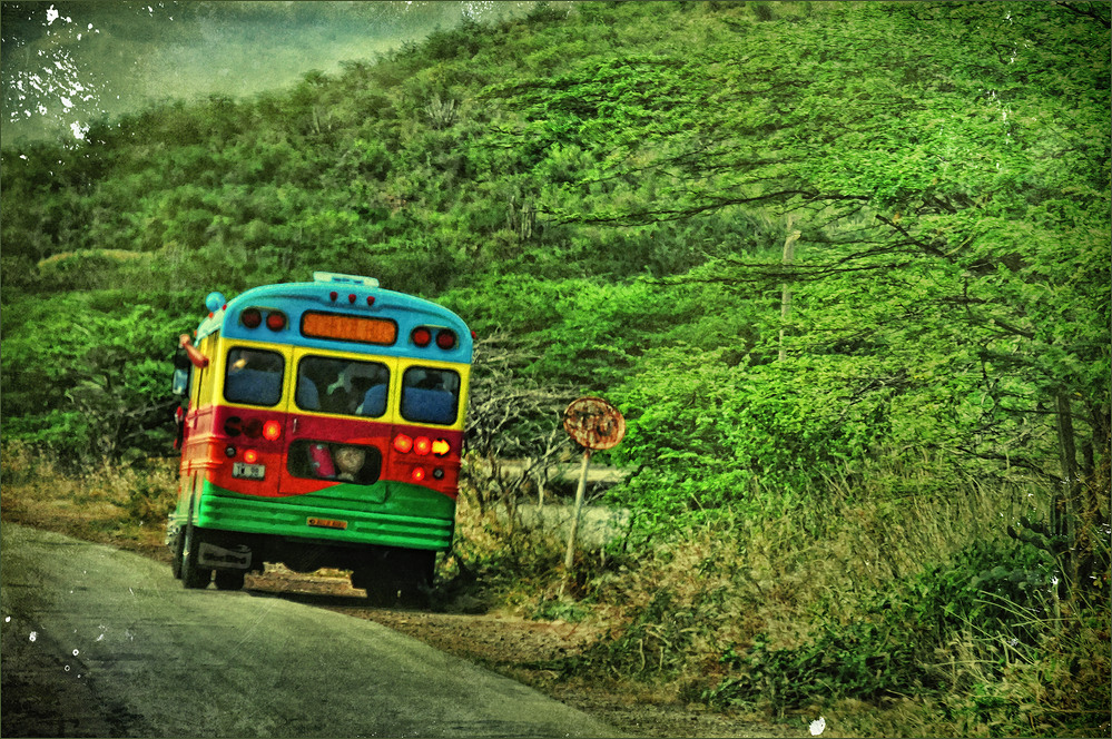 Reggae by Bus