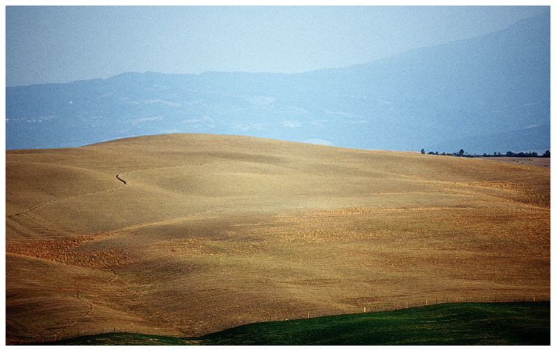 Reggione Pienza III