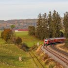 "Regio-Swinger" im Allgäu (3 von 3)