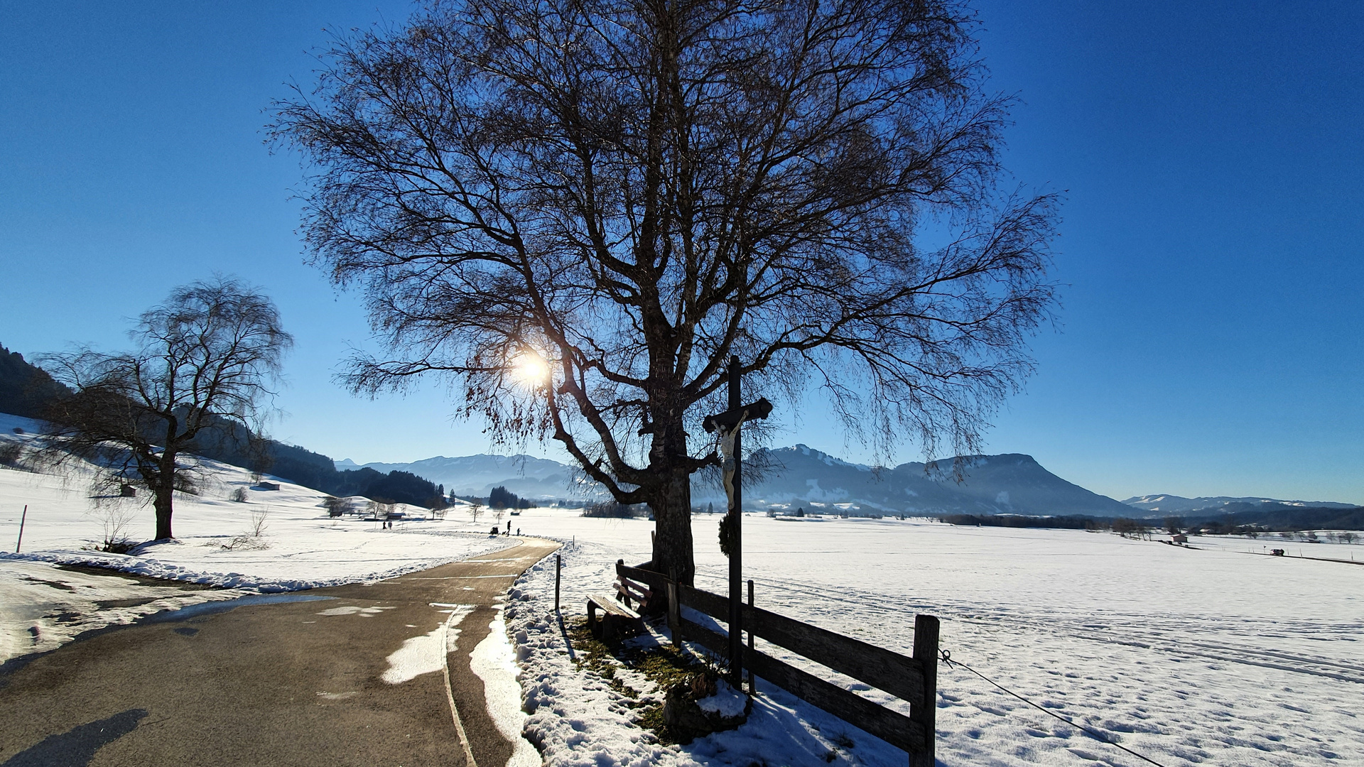 Region Alpsee/Grünten