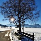 Region Alpsee/Grünten