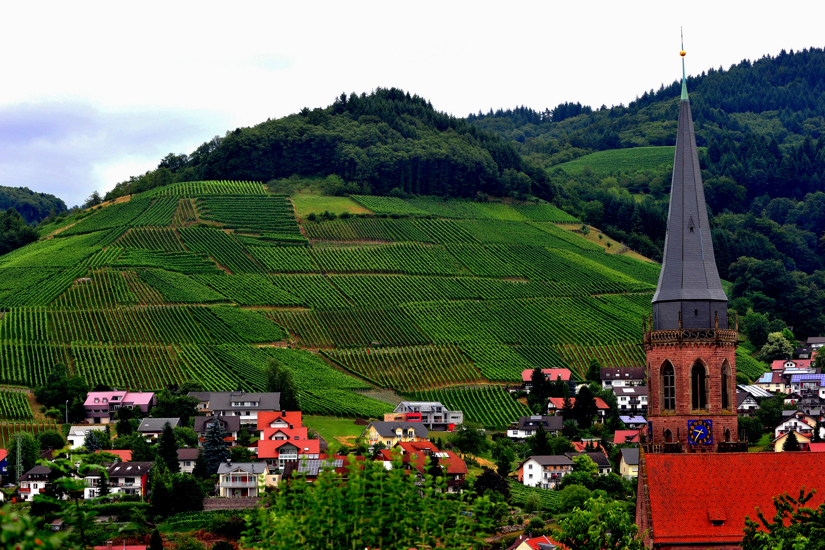 Region Bodensee lässt grüßen