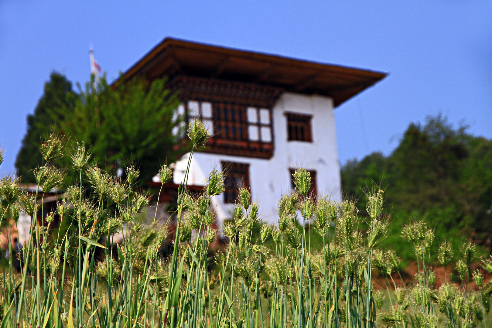 Region Bumthang; Bhutan