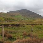 Region Connemara 2