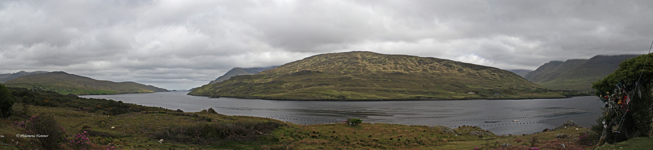 Region Connemara 3