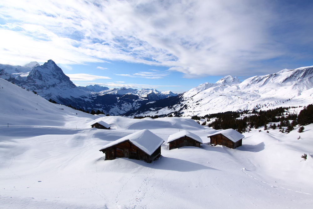 region grindelwald