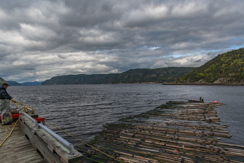 Region Saguenay-Lac-Saint-Jean