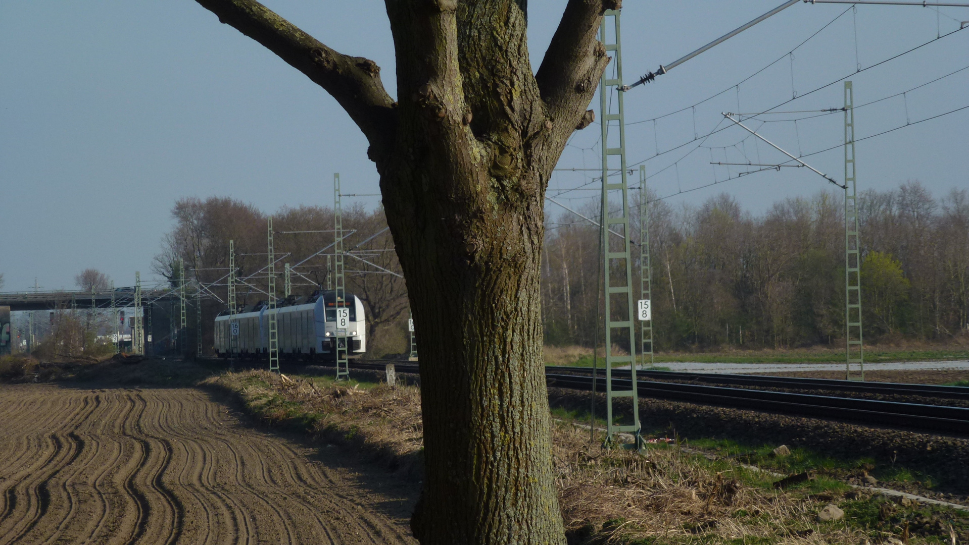 Regionalbahn Richtung Köln