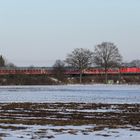 Regionalexpress Flensburg-Hamburg bei Krogaspe