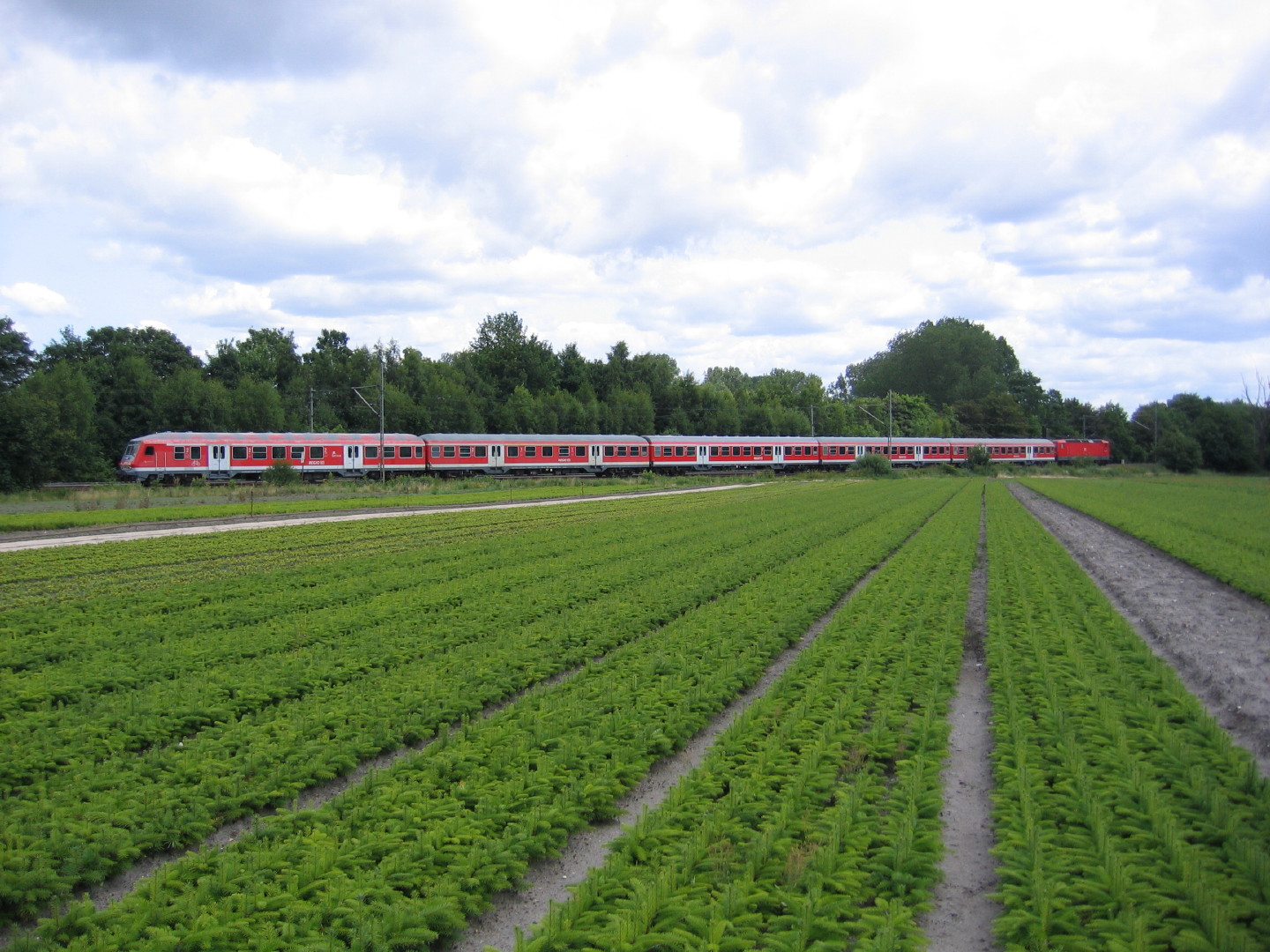 RegionalExpress hinter Tannenfeld