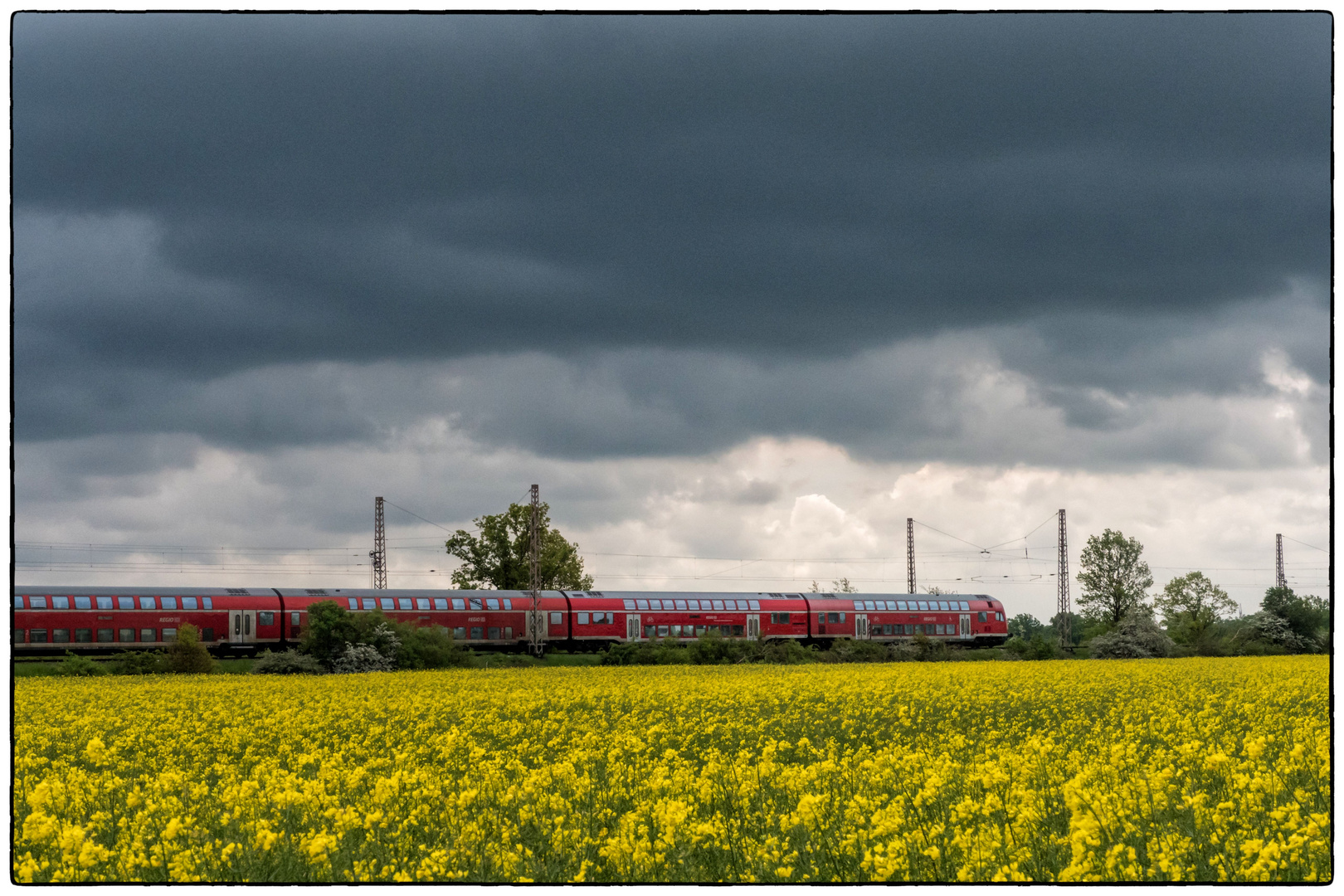 Regionalexpress, Raps und Sommerwetter