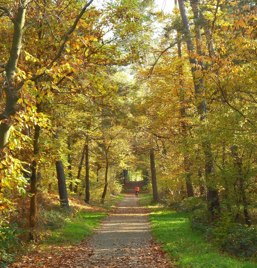 Regionalpark Rhein-Main (3)