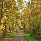 Regionalpark Rhein-Main (3)