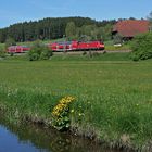 Regionalzug in ländlicher Idylle