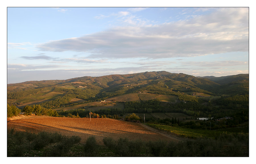 Regione di Chianti