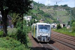 RegioShuttle am Rhein