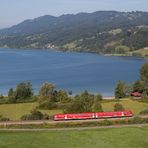 Regioswinger am Alpsee