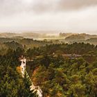 Regnerische Heidelandschaft 