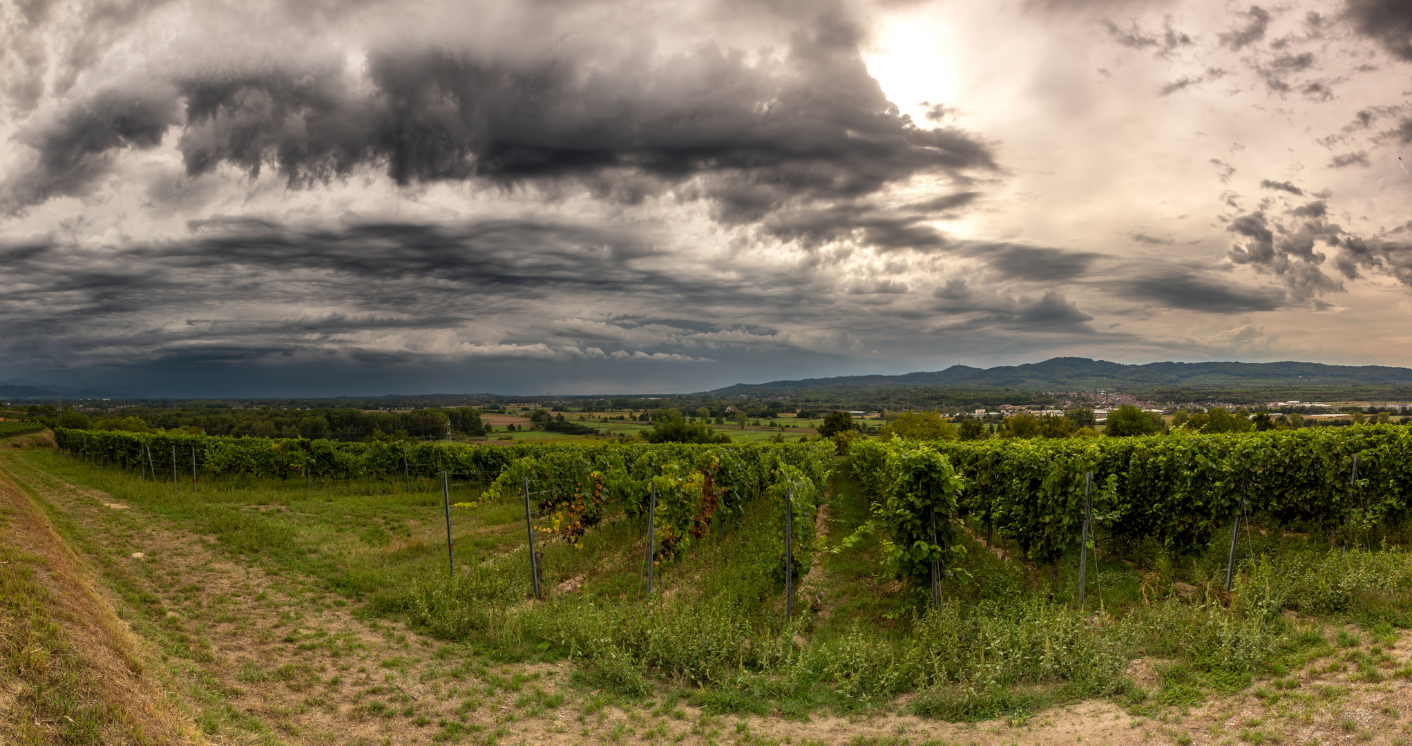 Regnerische Stimmung am Kaiserstuhl