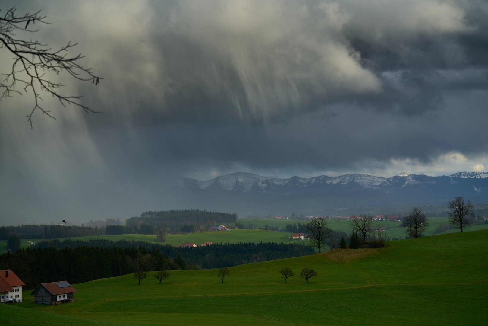 Regnerischer Frühling oder: Vögel fliegen auch bei Regen.