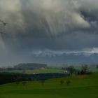 Regnerischer Frühling oder: Vögel fliegen auch bei Regen.