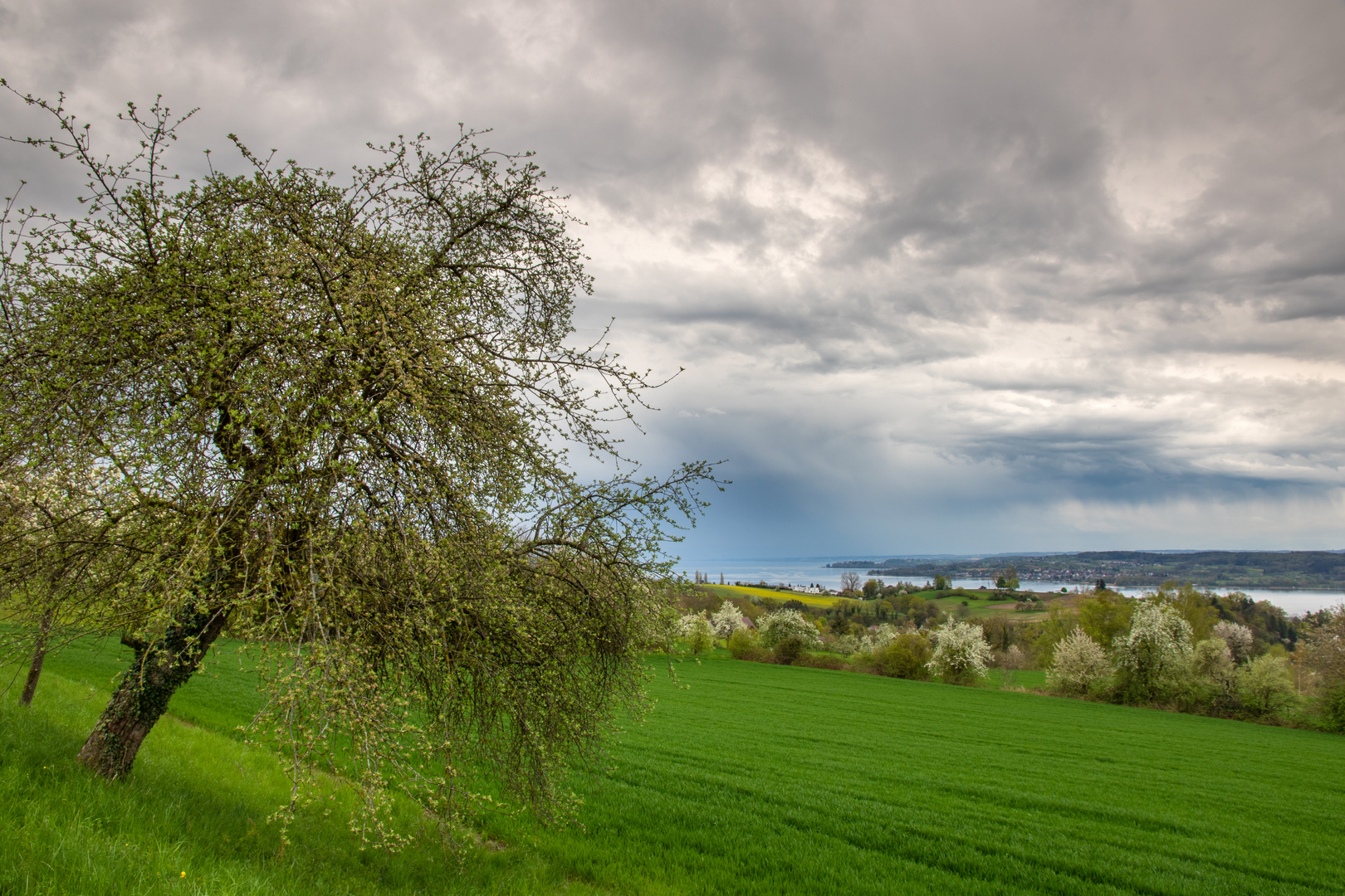 Regnerischer Frühlingstag