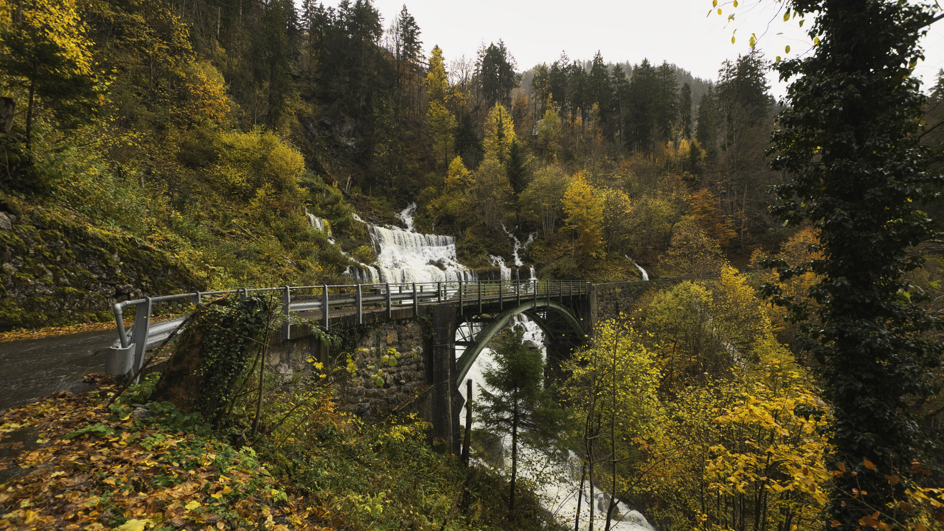 Regnerischer Herbsttag