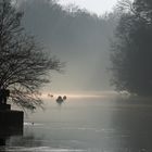 Regnitz bei Bamberg