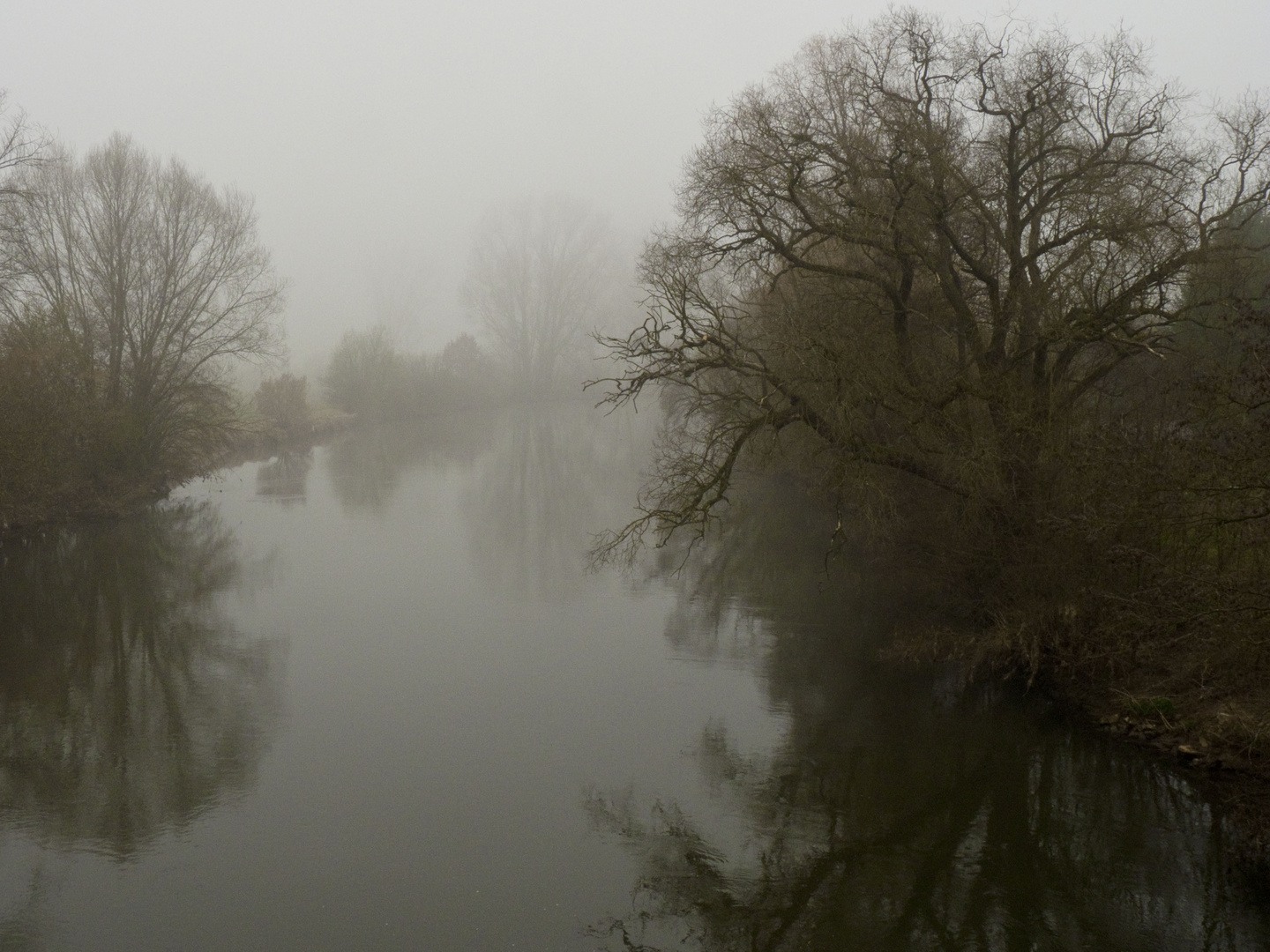 Regnitz im Nebel