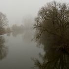 Regnitz im Nebel