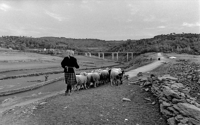 REGRESO A CASA  1.970s