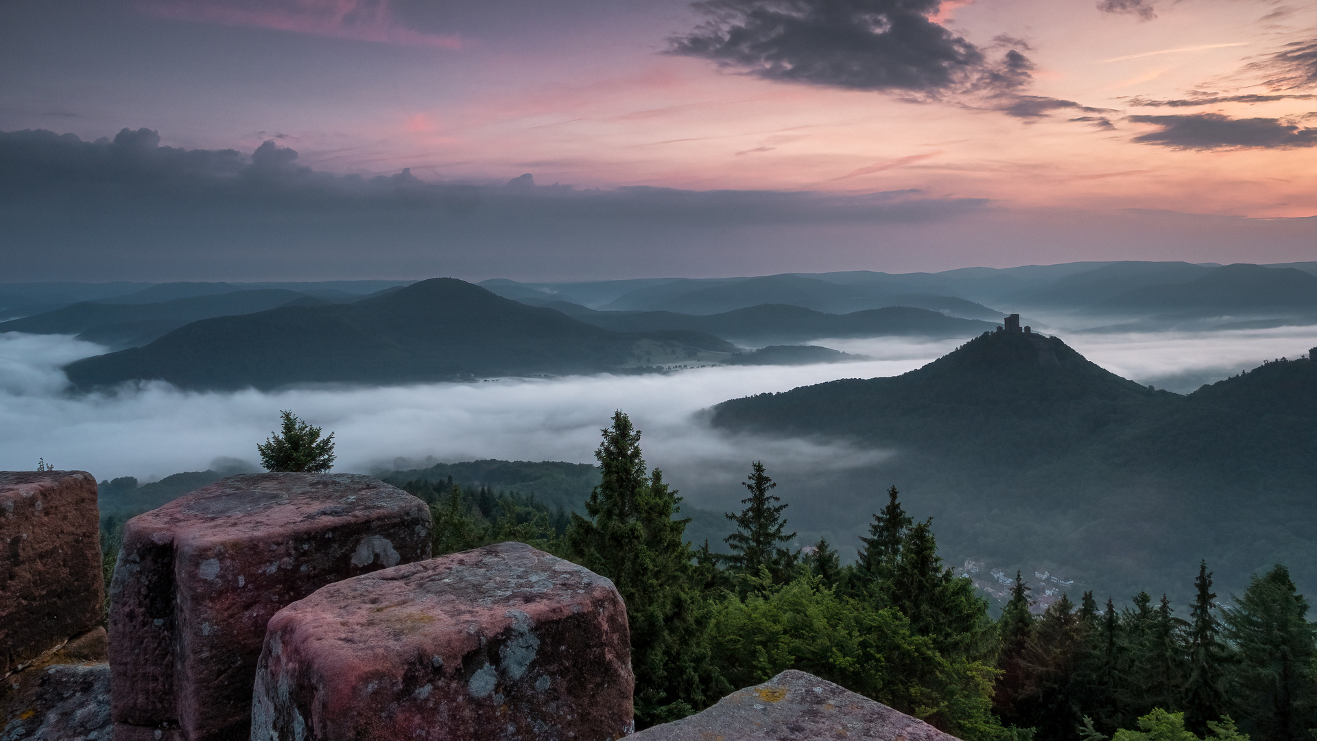 Rehbergturm im Morgennebel