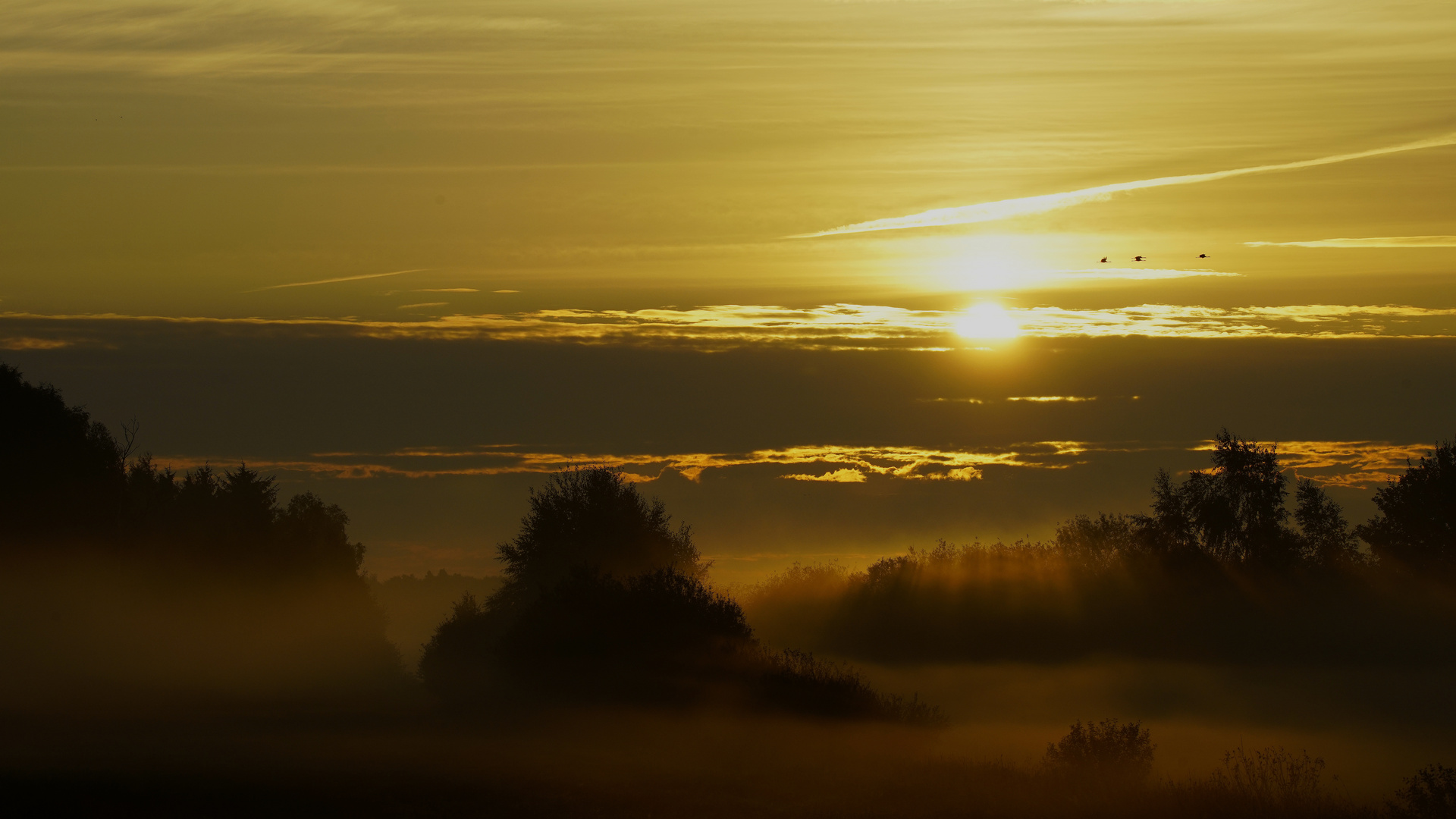 Rehdener Geestmoor. Foto & Bild outdoor, sonnenaufgang, natur Bilder