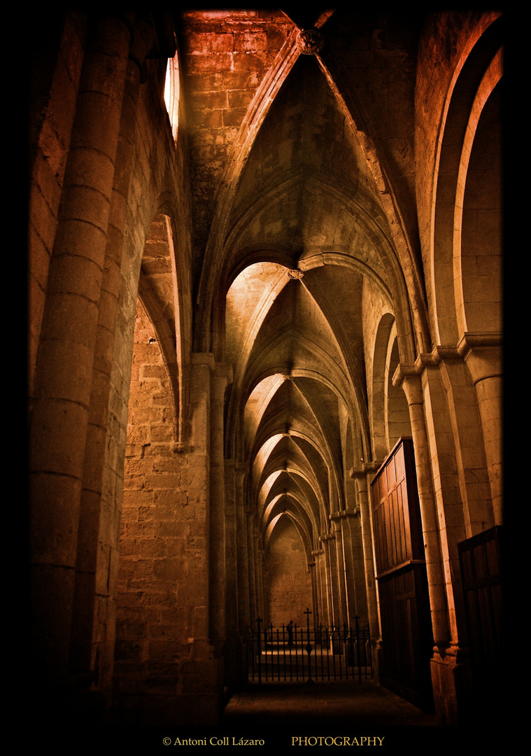 Reial Monestir de Poblet, II