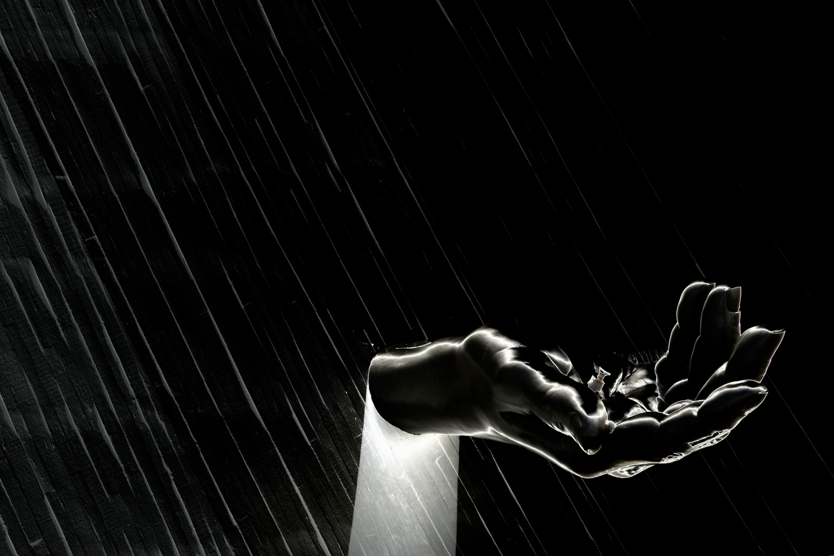 Reich mir die Hand II Foto & Bild spezial, monochrome Bilder auf