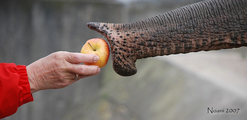 Reich mir die Hand schöne Frau ...