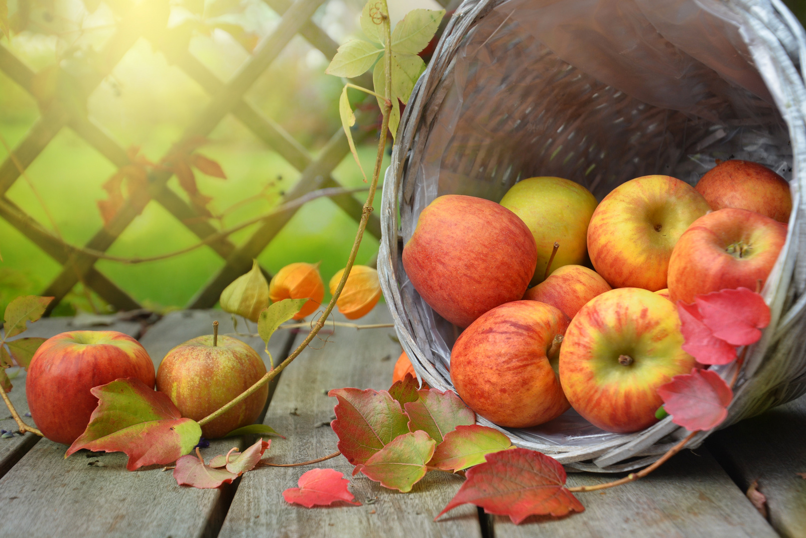 reiche Ernte Foto & Bild apfel, natur, herbst Bilder auf