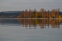 Reichenau-29-