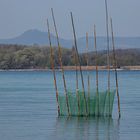 Reichenau: Blick in den Hegau